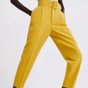 Anthropologie High Waist Pants with Belt